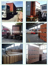 ASJ - DS041 Factory Direct Fitness Gym Equipment Supply Hack Squat Machine Commercial Gym Hack Slide Machine - Reboot Athletic Power – Santé, Sport et Récupération à domicile