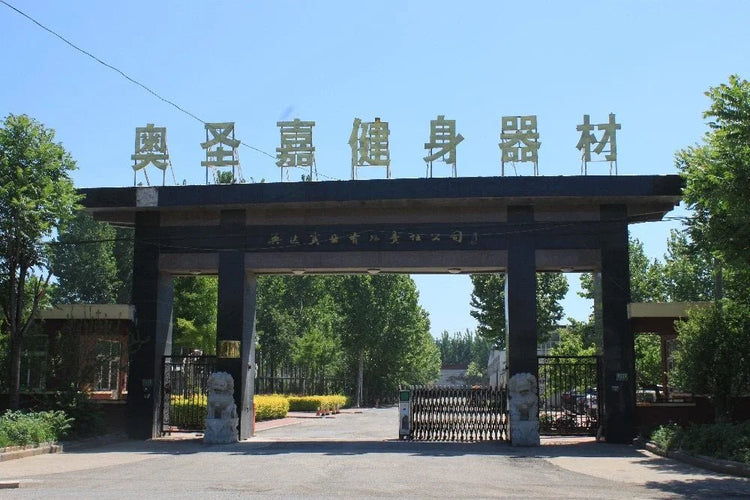 ASJ - DS041 Factory Direct Fitness Gym Equipment Supply Hack Squat Machine Commercial Gym Hack Slide Machine - Reboot Athletic Power – Santé, Sport et Récupération à domicile