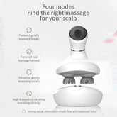 Head Massager Scalp kneading Vibration Waterproof Electric Multifunctional Wireless Portable Dragon Claw Hand Cat Pet Massager - Reboot Athletic Power – Santé, Sport et Récupération à domicile